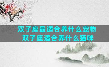 双子座最适合养什么宠物 双子座适合养什么猫咪